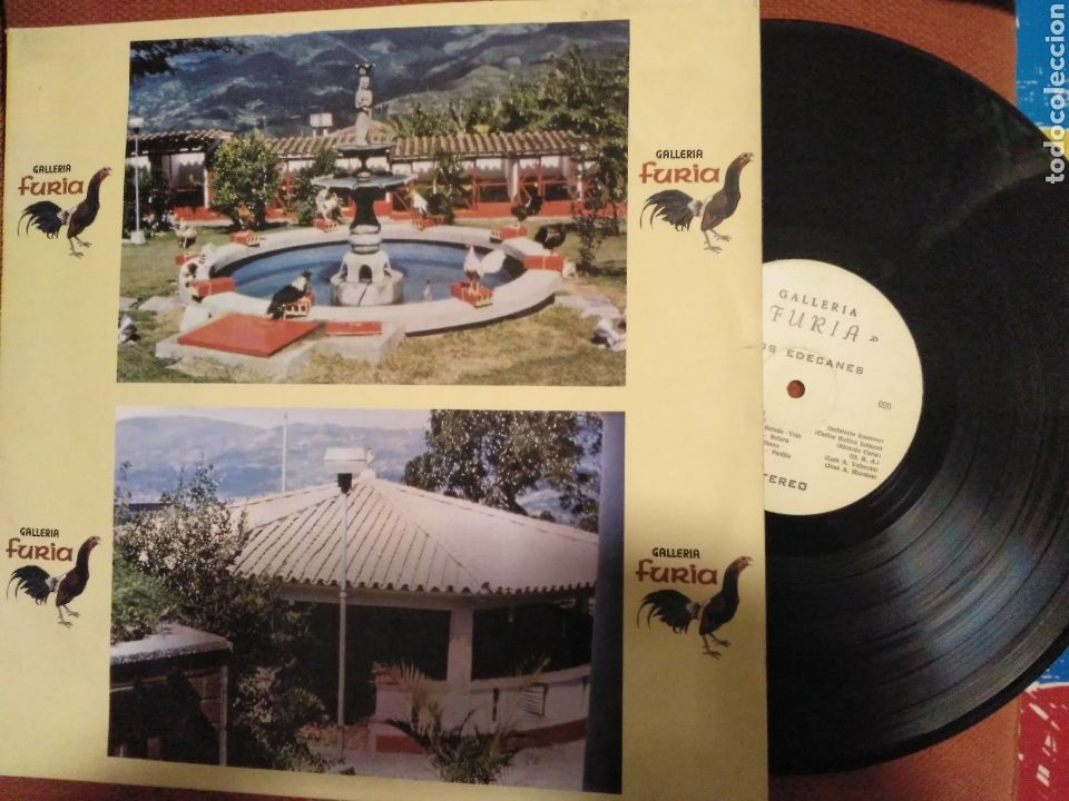 Vinyl records: Galler&iacute;a furia - con revista