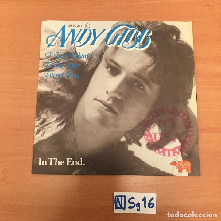 Discos de vinilo: Andy Gibb - Foto 1