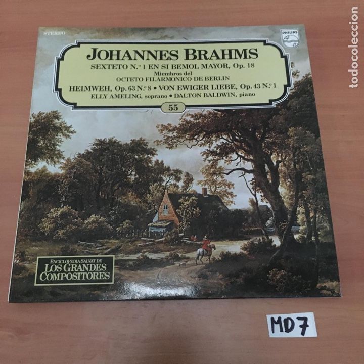 Discos de vinilo: Johannes Brahms - Foto 1