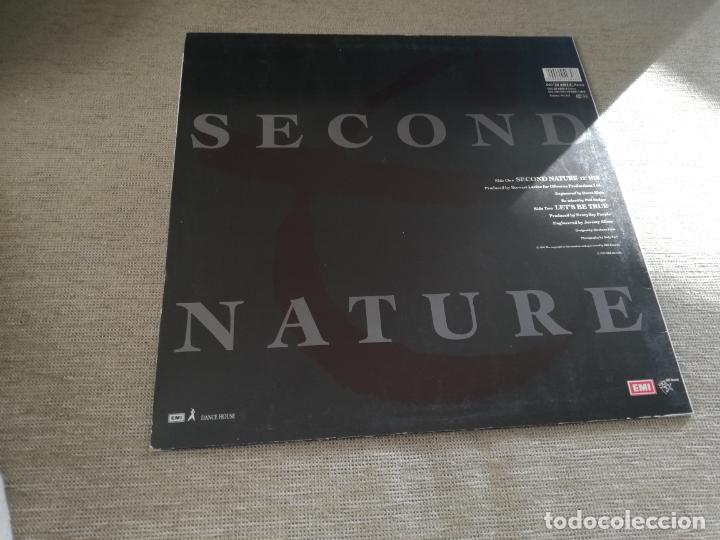 Discos de vinilo: Everyday People-second nature. maxi - Foto 2
