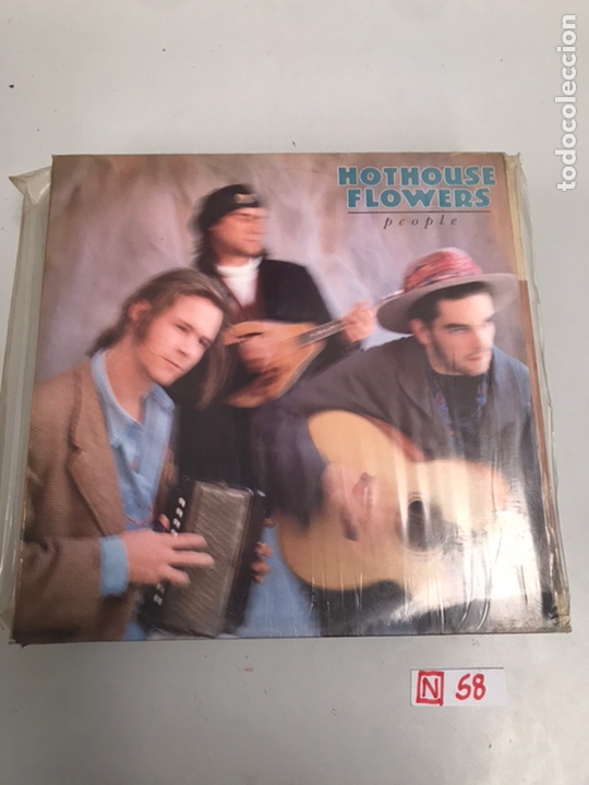 Discos de vinilo: HOTHOUSE FLOWERS - Foto 1
