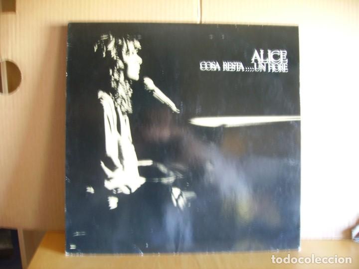 Discos de vinilo: ALICE ---- COSA RESTA.... UN FIORE - Foto 1