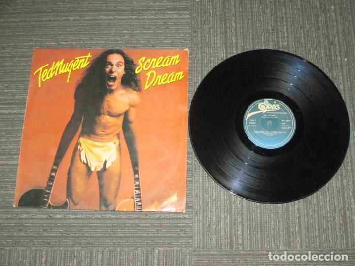 Discos de vinilo: TED NUGENT - SCREAM DREAM - SPAIN - EPIC - IBL - - Foto 1