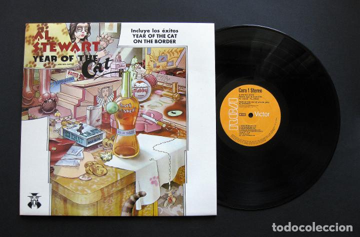 El Año Del Gato Al Stewart