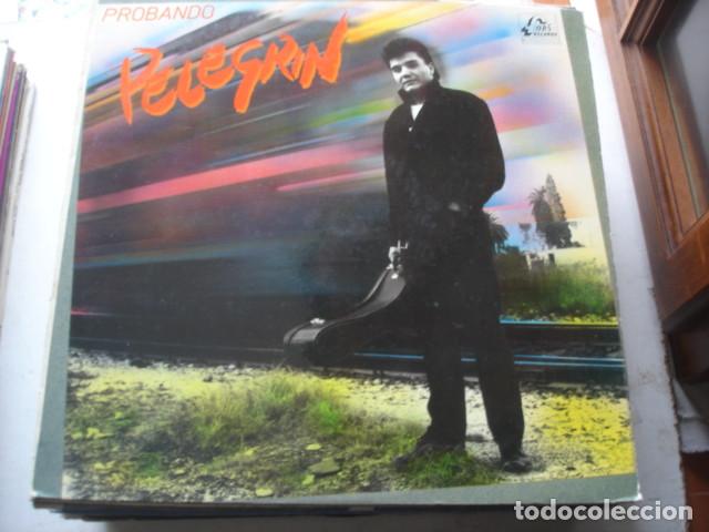 Discos de vinilo: Pelegrin    Probando - Foto 1