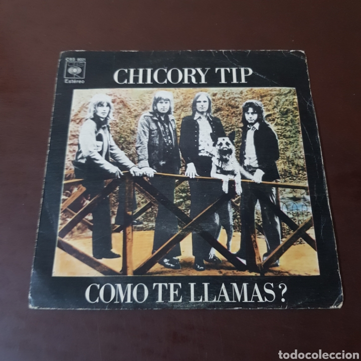 Discos de vinilo: CHICORY TIP 1972 COMO TE LLAMAS ? - Foto 5