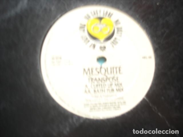 Discos de vinilo: Mesquite   Transpose - Foto 1