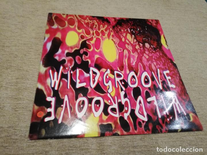 Discos de vinilo: Wild groove-wild groove. maxi - Foto 1