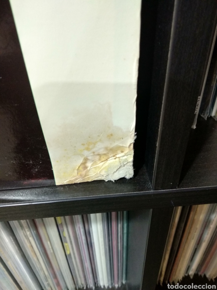 Discos de vinilo: BEAUTIFUL BEND LP - Foto 2