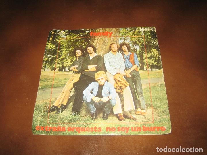 Discos de vinilo: FAMILY - Foto 1