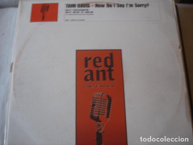 Discos de vinilo: Tami Davis    How Do I Say Im Sorry - Foto 1