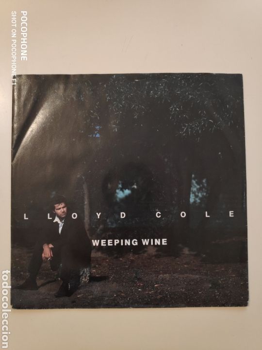 Discos de vinilo: NT LLOYD COLE - WEEPING WINE 1991 GERMANY SINGLE VINILO - Foto 1