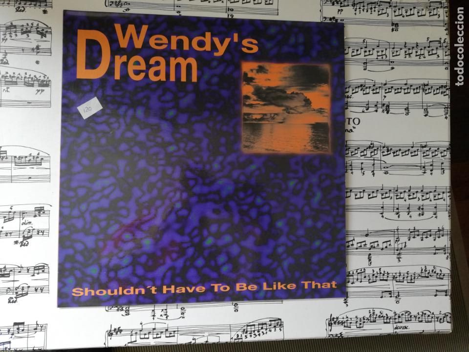Discos de vinilo: Wendys dream-shouldnt have to be like that. m&aacute;xi - Foto 1
