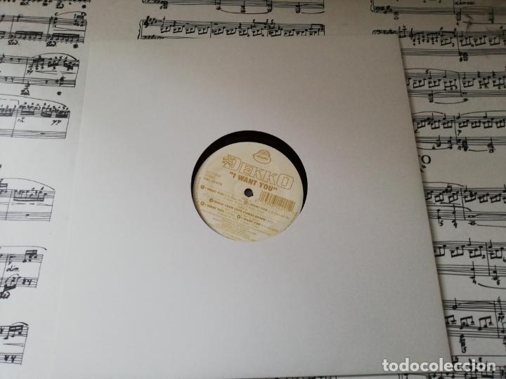 Discos de vinilo: Dekko-i want you. maxi - Foto 1