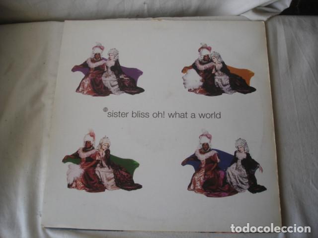Discos de vinilo: Sister Bliss Oh! What A World - Foto 1