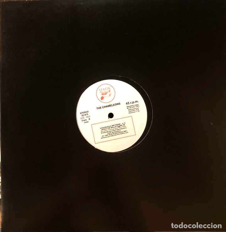 Discos de vinilo: 12&rdquo; CHAMELEONS Singing rule Britannia - nuevo - Foto 1