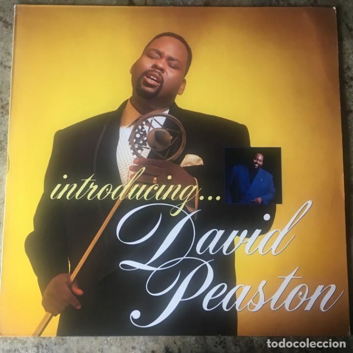 Discos de vinilo: David Peaston - Introducing... . LP . 1989 GERMANY - Foto 1