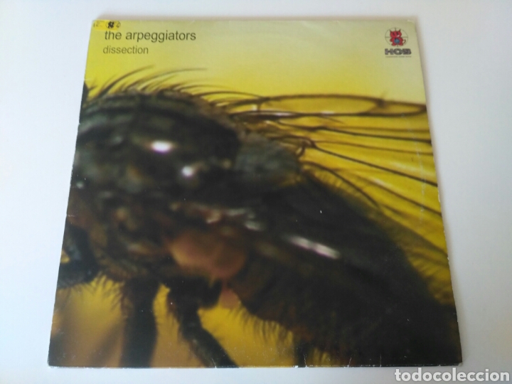Discos de vinilo: The Arpeggiators - Dissection - Foto 1