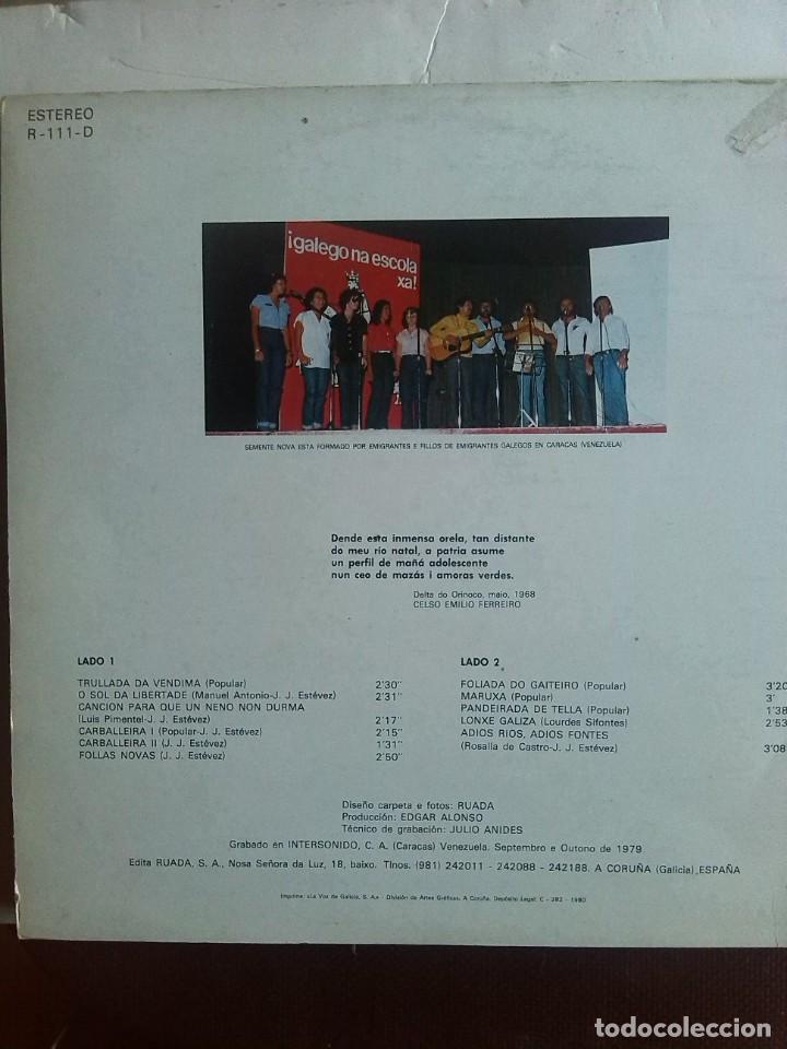 Discos de vinilo: SEMENTE NOVA - FOLIADA DO GAITEIRO 1980 - Foto 2 - 205523358