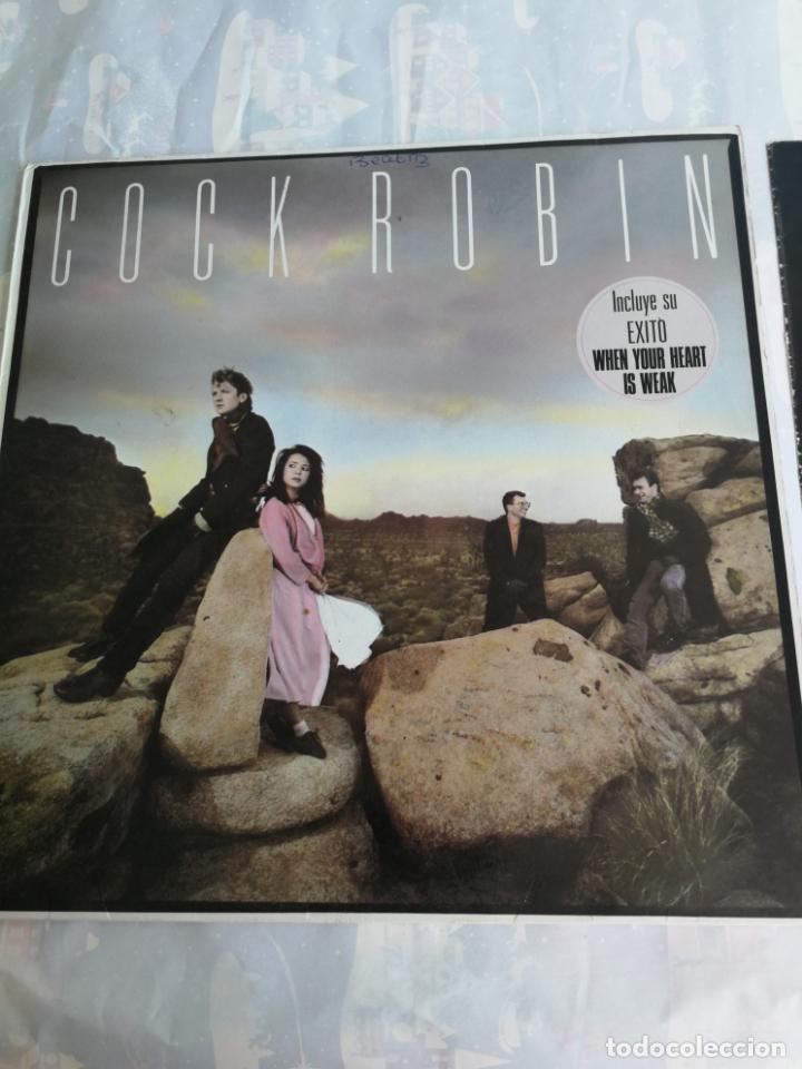 Paroles De Cock Robin When Your Heart Is Weak