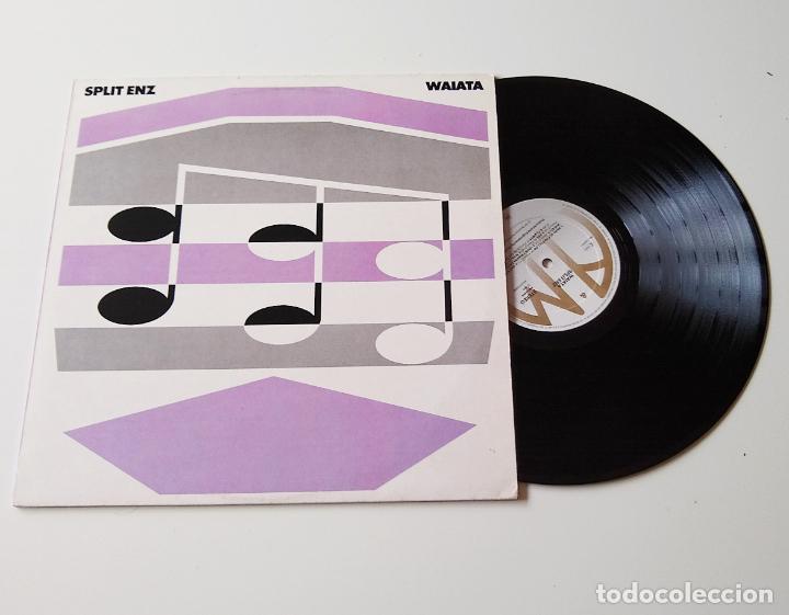 Discos de vinilo: SPLIT ENZ. WAIATA. Neil Finn, Crowded House, LP - Foto 1