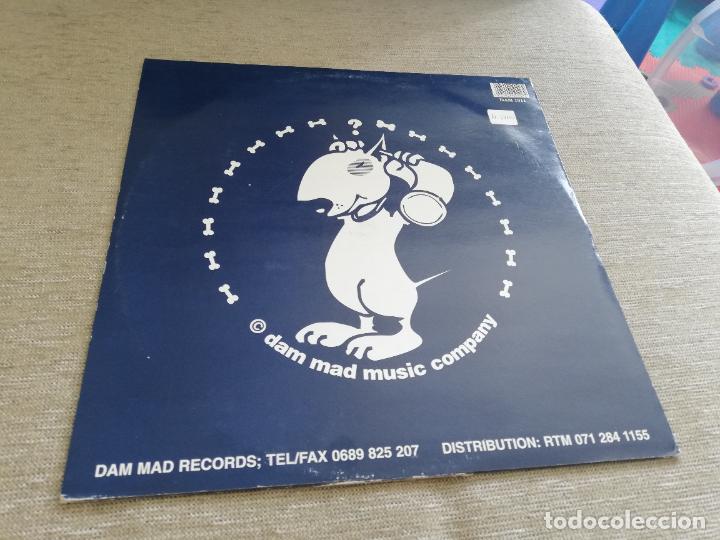 Discos de vinilo: Disco sluts-in full flyte. maxi - Foto 2