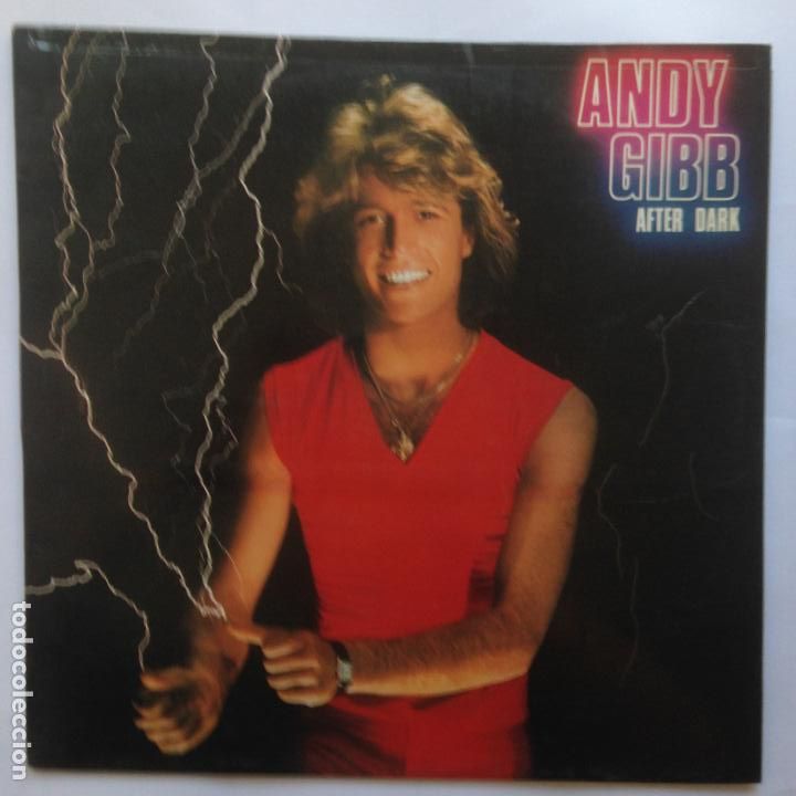 Discos de vinilo: Andy Gibb &ndash; After Dark - Foto 1