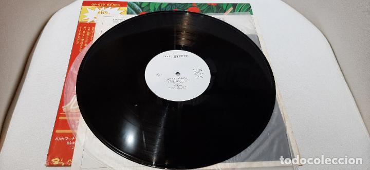 Discos de vinilo: KONGAS -JUNGLE- (1977) LP DISCO VINILO - Foto 5