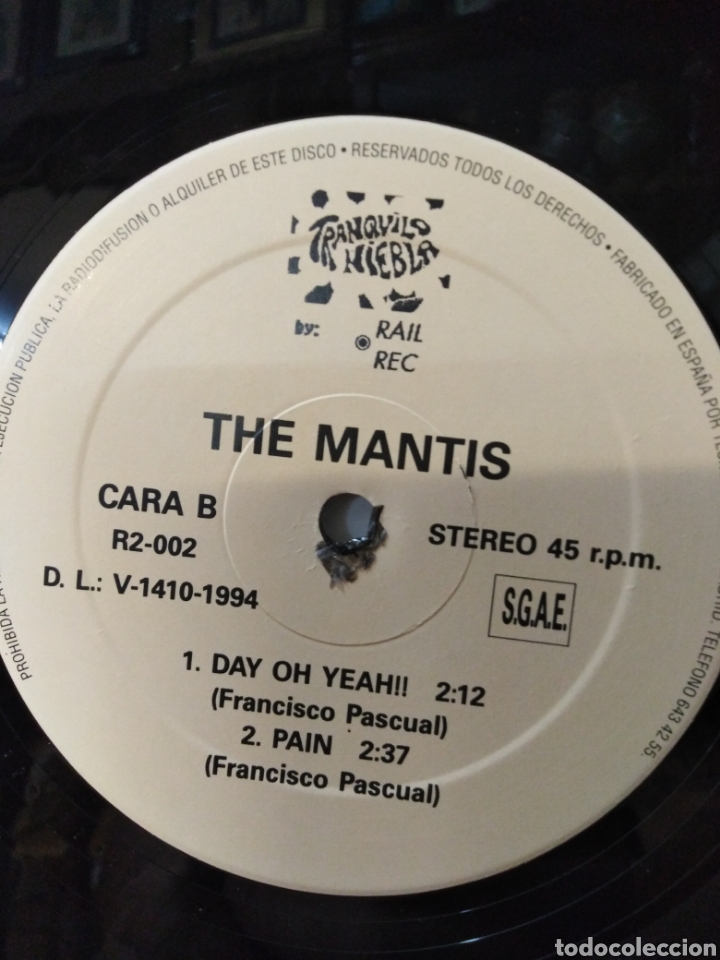 Discos de vinilo: THE MANTIS-TRANQUILO NIEBLA, LP VINILO, A&Ntilde;O 1994 - Foto 7