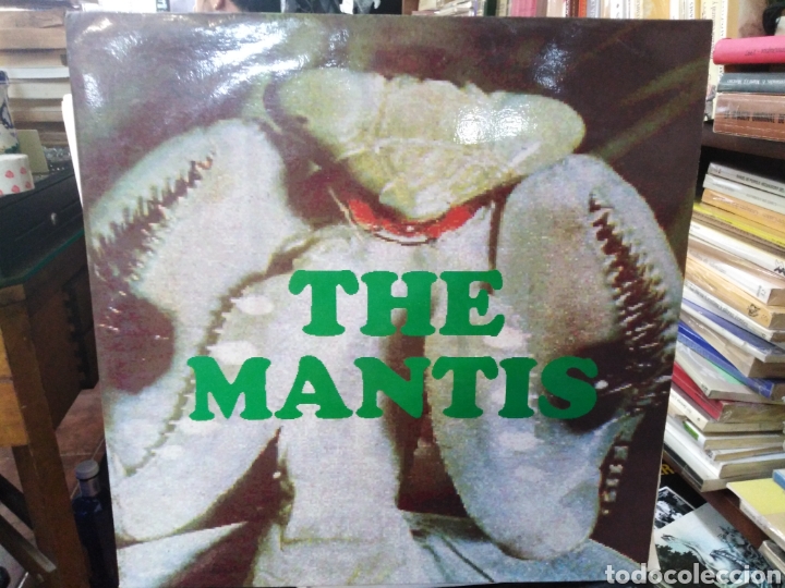 Discos de vinilo: THE MANTIS-TRANQUILO NIEBLA, LP VINILO, AÑO 1994 - Foto 1 - 210738981