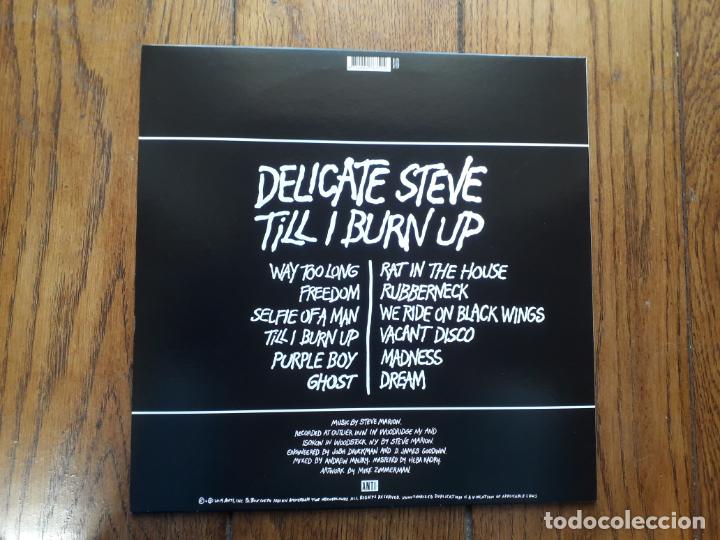Discos de vinilo: Delicate steve - till i burn up - Foto 2