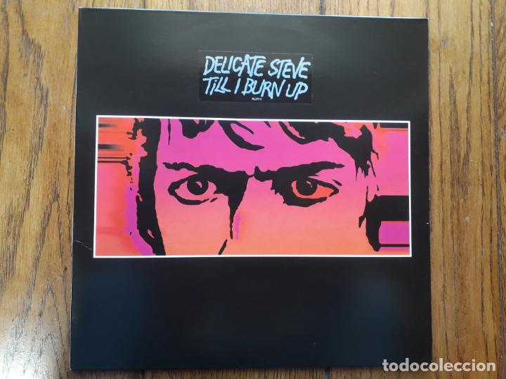 Discos de vinilo: Delicate steve - till i burn up - Foto 1