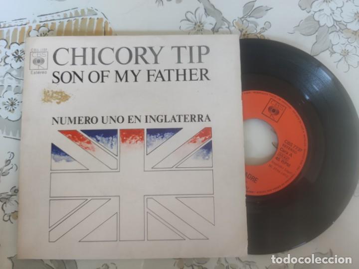 Discos de vinilo: Chicory Tip Son of my Father - Foto 1