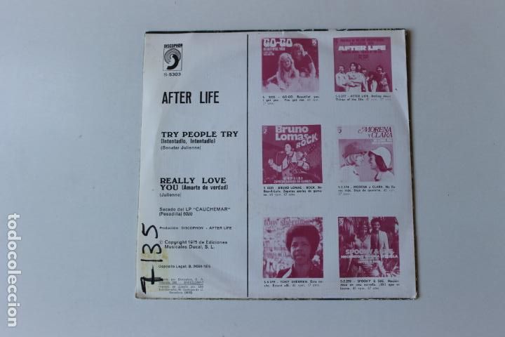 Discos de vinilo: AFTER LIFE, SINGLE, TRY PEOPLE TRY, 1975 - Foto 2