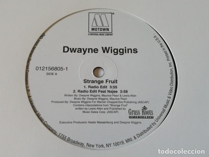 Discos de vinilo: Dwayne Wiggins - Strange Fruit - 2000 - Foto 1