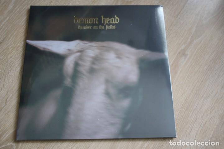 Discos de vinilo: DEMON HEAD, THUNDER ON THE FIELDS, GATEFOLD, 2017, PRECINTADO. - Foto 1