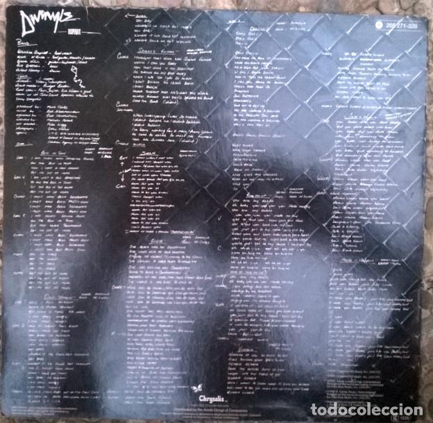Discos de vinilo: Divinyls. Desperate. Chrysalis, Germany 1982 LP (rock, garage) - Foto 2