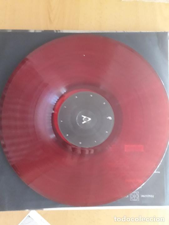 Discos de vinilo: Plyxy - gloryland - Foto 3