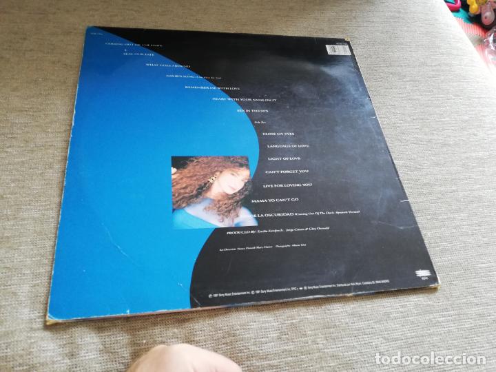 Discos de vinilo: Gloria estefan-into the light. Lp espa&ntilde;a - Foto 2