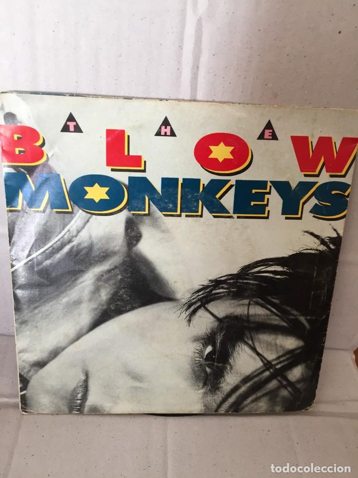 Discos de vinilo: The Monkeys Blow - Foto 1