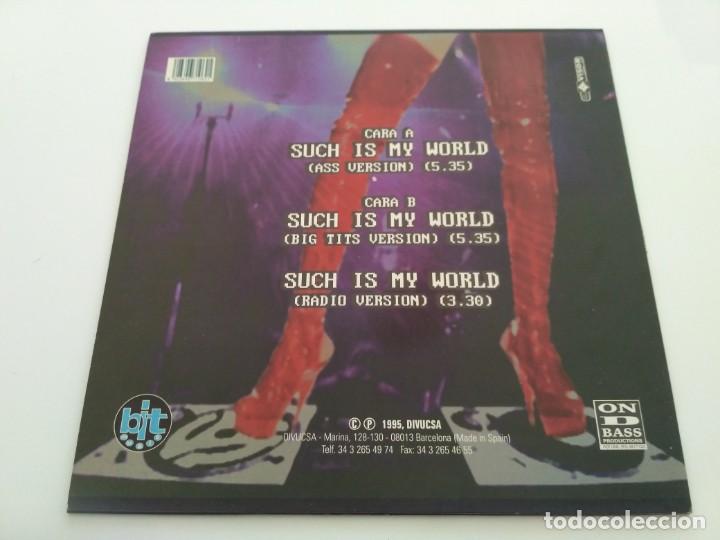 Discos de vinilo: Sandy-X - Such Is My World - Foto 2