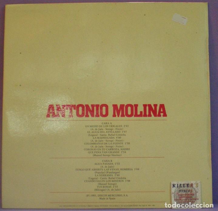 Discos de vinilo: Antonio Molina - LP DISCOPHON 1981 - Foto 2