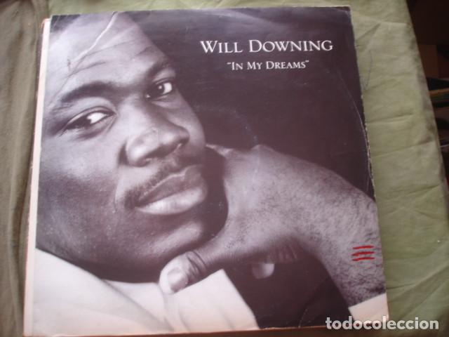 Discos de vinilo: Will Downing In My Dreams - Foto 1
