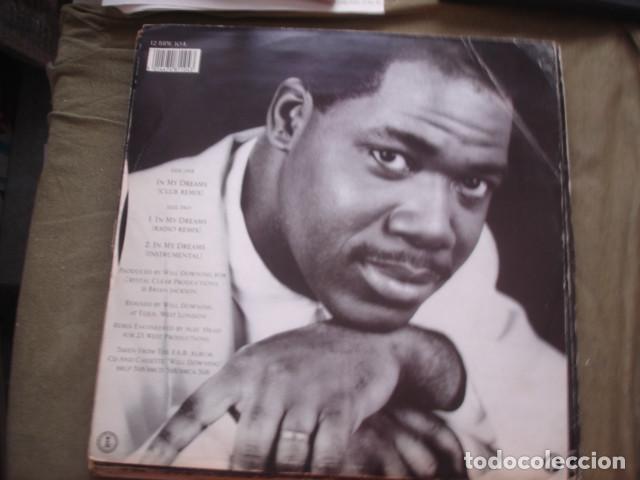 Discos de vinilo: Will Downing In My Dreams - Foto 2