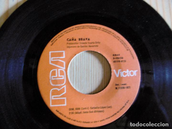 Discos de vinilo: CA&Ntilde;A BRAVA - Foto 1
