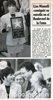 Discos de vinilo: scans LIZA MINNELLI - Foto 1