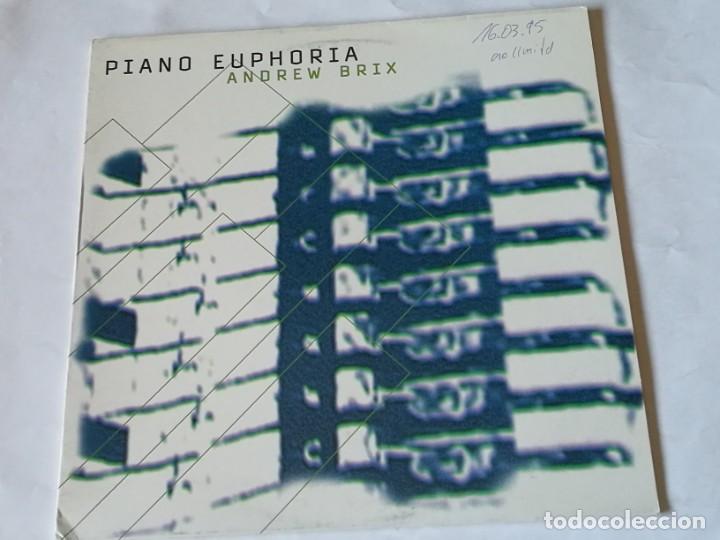 Discos de vinilo: Andrew Brix - Piano Euphoria - 1995 - Foto 1