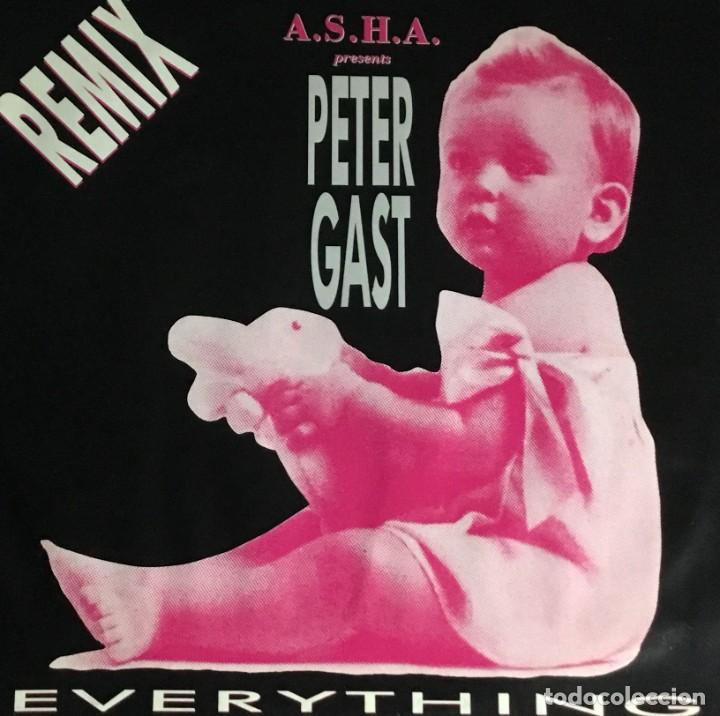 Discos de vinilo: PETER GAST - EVERYTHING - Foto 1