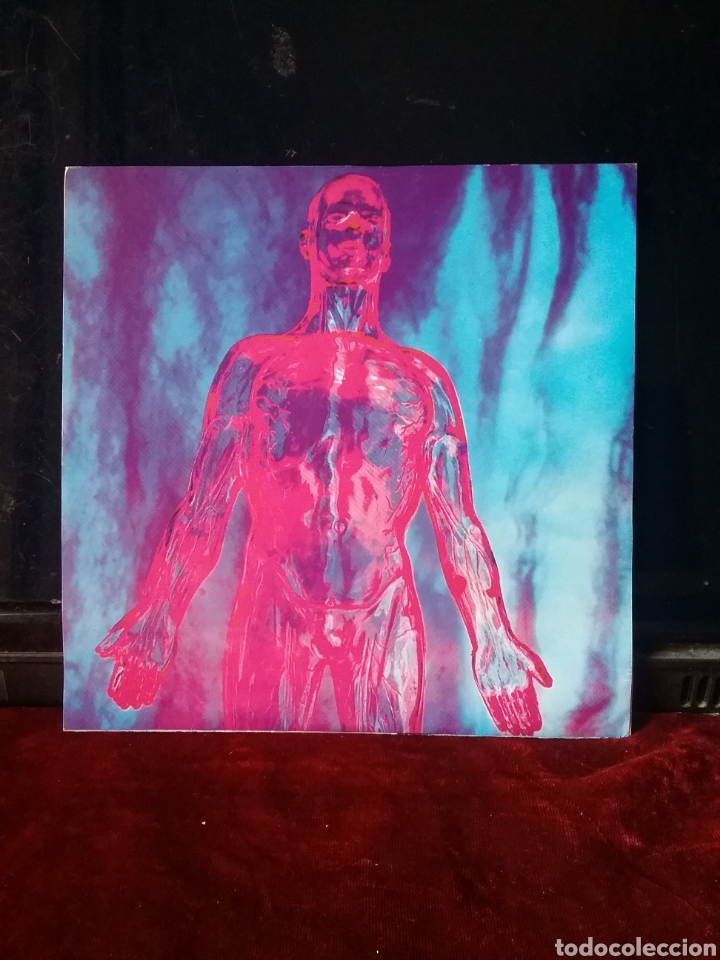 Discos de vinilo: NIRVANA 1990 Single Sub-Pop .Nuevo - Foto 1