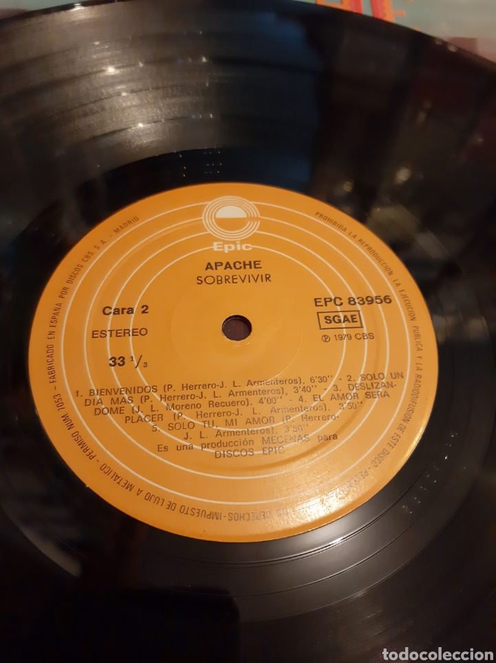 Discos de vinilo: APACHE SOBREVIVIR LP 1979 epic - Foto 3